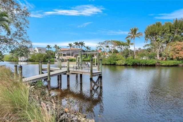 dock area with a water view