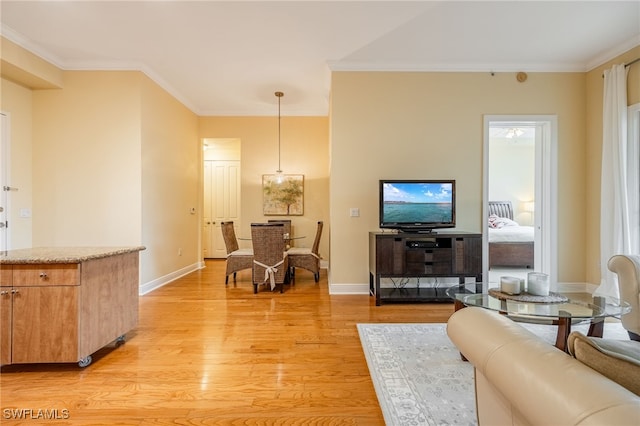 living room with crown molding and light hardwood / wood-style flooring