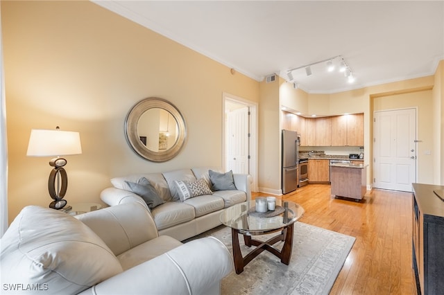 living room featuring track lighting, light hardwood / wood-style flooring, and crown molding