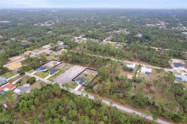 1114 Clayton Ave, Lehigh Acres, FL 33972 - drone / aerial view