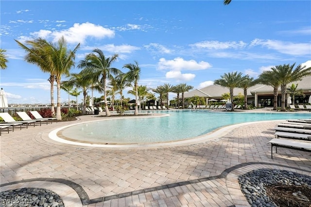 view of swimming pool featuring a patio area