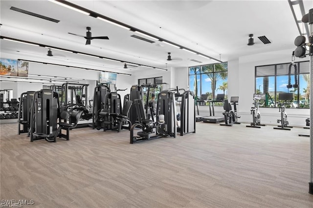 workout area featuring ceiling fan and light colored carpet