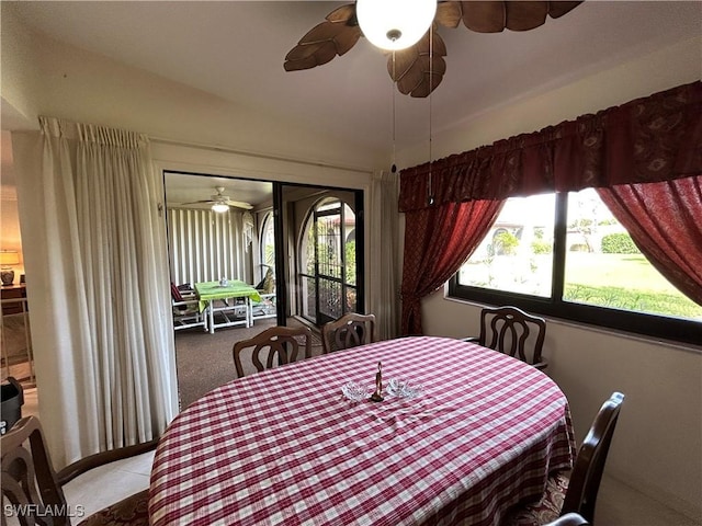 dining area featuring carpet and ceiling fan