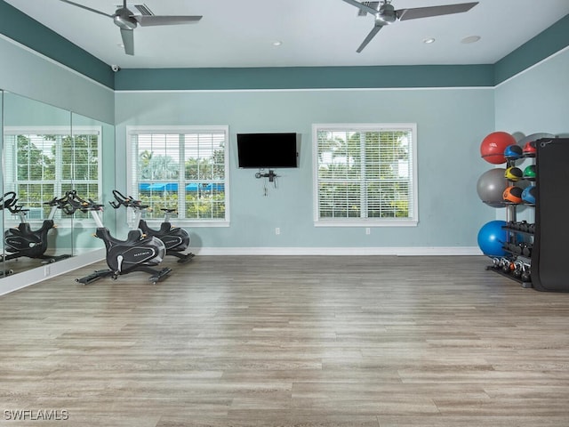 exercise area featuring ceiling fan and light wood-type flooring