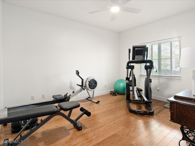 workout area featuring light wood-type flooring and ceiling fan