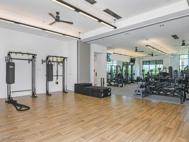 exercise room featuring ceiling fan and light wood-type flooring