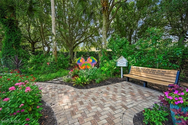 view of community with a patio area