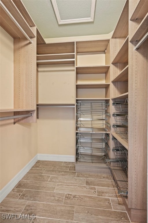 view of walk in closet