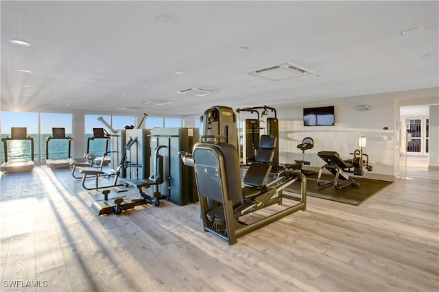 exercise room with wood-type flooring and a wall of windows