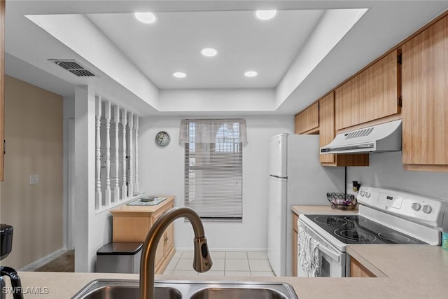 kitchen with electric stove, a tray ceiling, ventilation hood, and sink