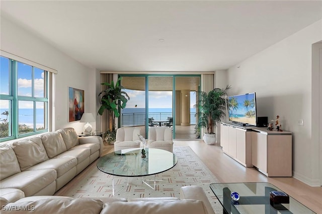 living room with light hardwood / wood-style floors