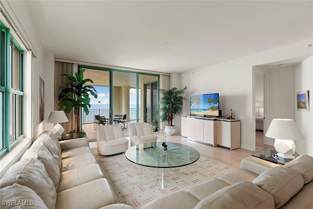 living room featuring expansive windows and light hardwood / wood-style floors