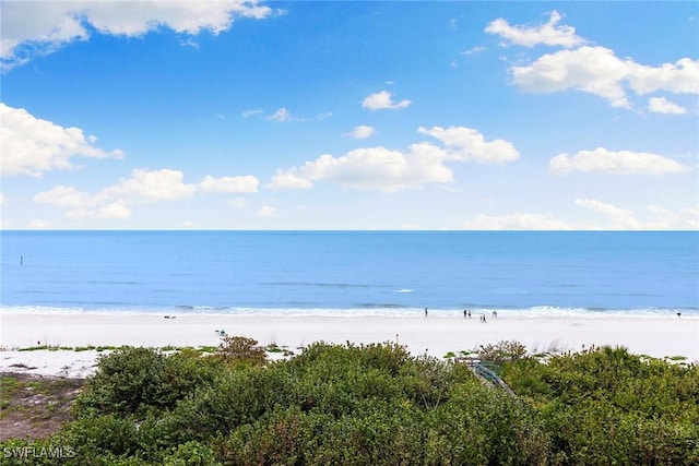 view of water feature featuring a beach view