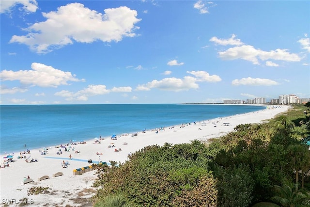 view of water feature with a view of the beach