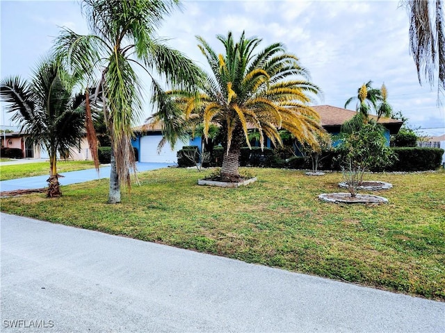 obstructed view of property with a garage and a front yard