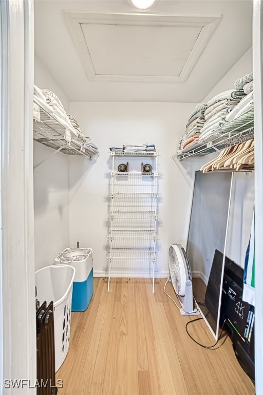 walk in closet featuring hardwood / wood-style floors