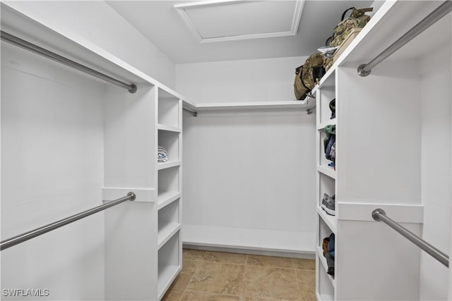 view of walk in closet