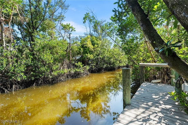 dock area with a water view