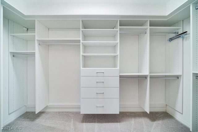 walk in closet with light colored carpet