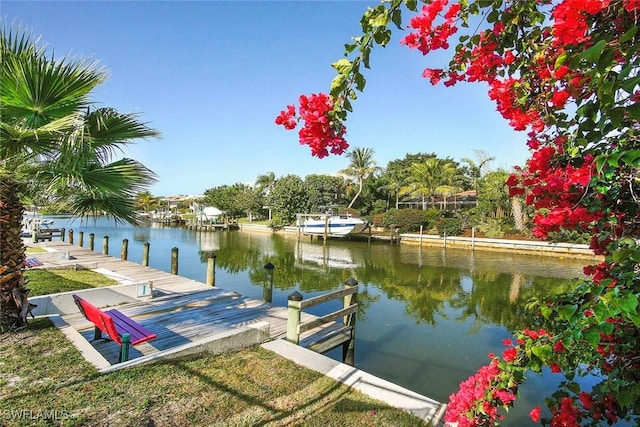 dock area featuring a water view