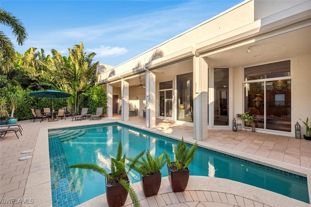 view of swimming pool with a patio area