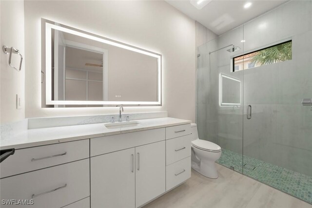 bathroom with vanity, toilet, walk in shower, and wood-type flooring