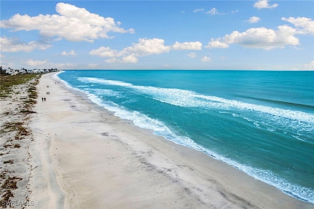 view of water feature featuring a beach view