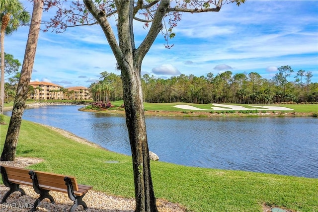 property view of water