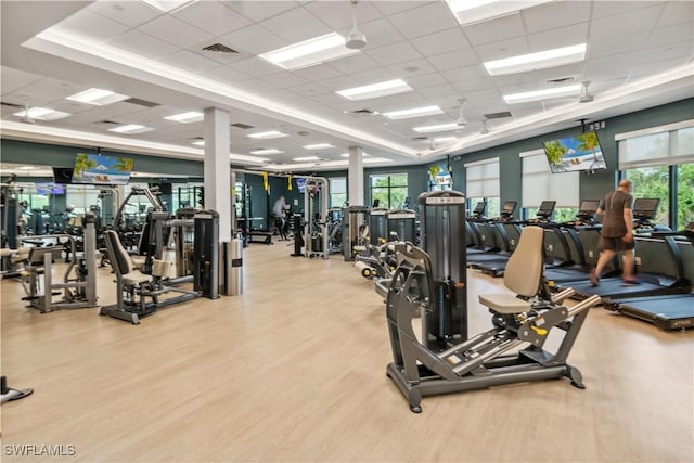 workout area with light hardwood / wood-style floors, plenty of natural light, and a drop ceiling