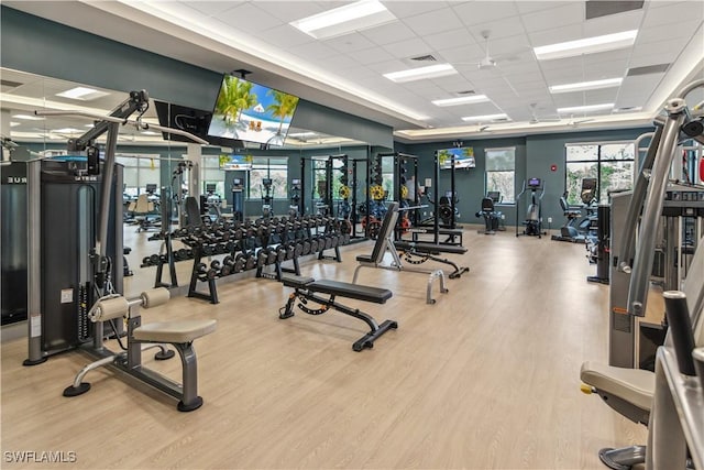 gym with hardwood / wood-style floors and a paneled ceiling