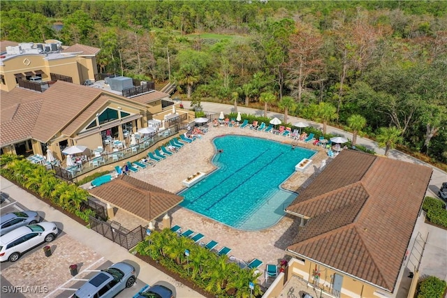 view of pool featuring a patio