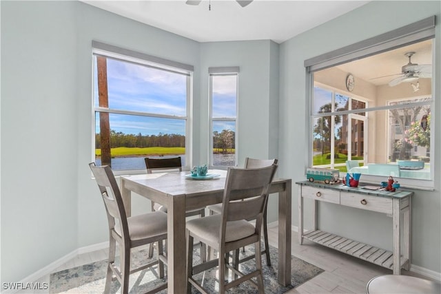 dining space with light hardwood / wood-style flooring, a wealth of natural light, and ceiling fan