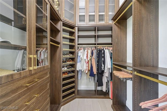 spacious closet with light wood-type flooring