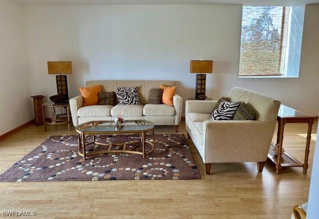 living room with wood-type flooring