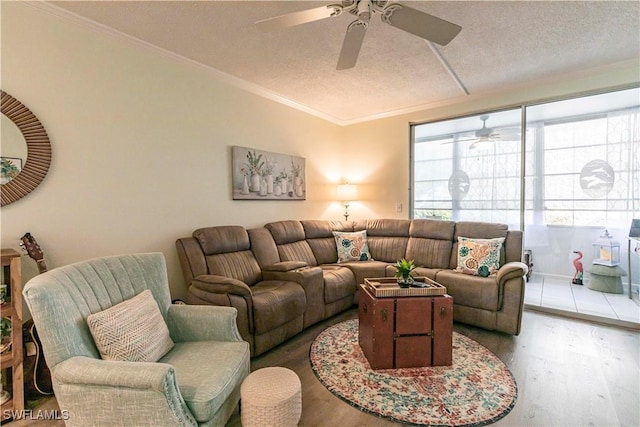 living room featuring ornamental molding, hardwood / wood-style floors, and a textured ceiling