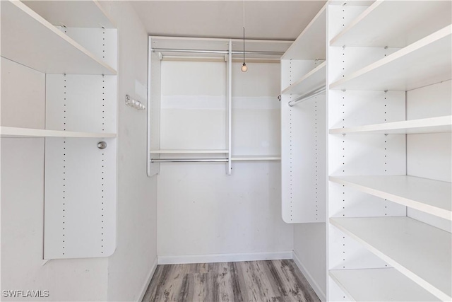 spacious closet featuring light wood-type flooring