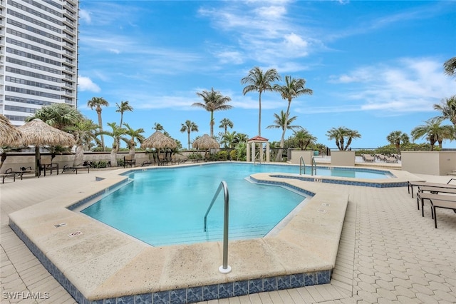 view of pool featuring a patio area and a jacuzzi