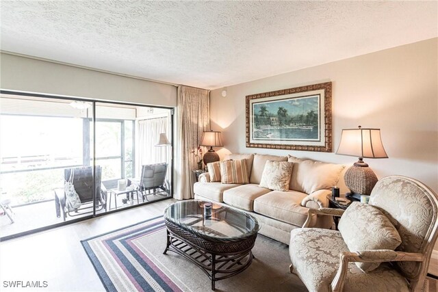 living room featuring a textured ceiling