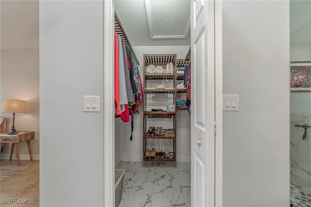 view of walk in closet