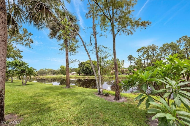 view of yard with a water view