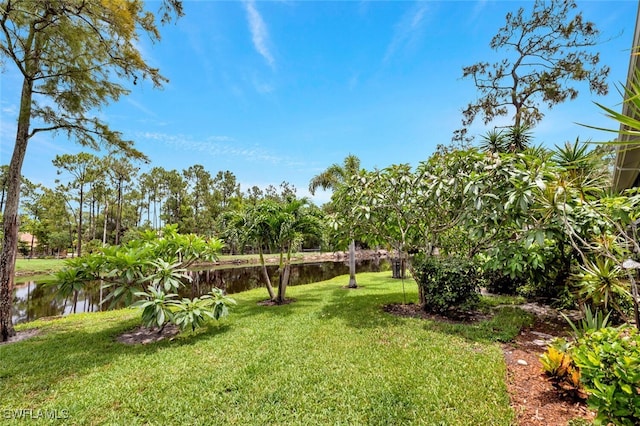 view of yard featuring a water view