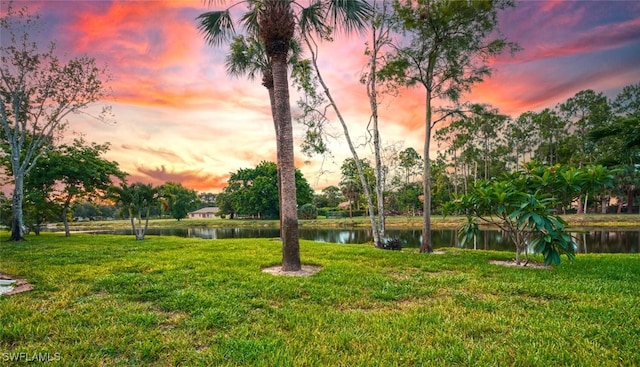 1207 Commonwealth Cir Unit B201, Naples, FL 34116 - yard at dusk featuring a yard and a water view