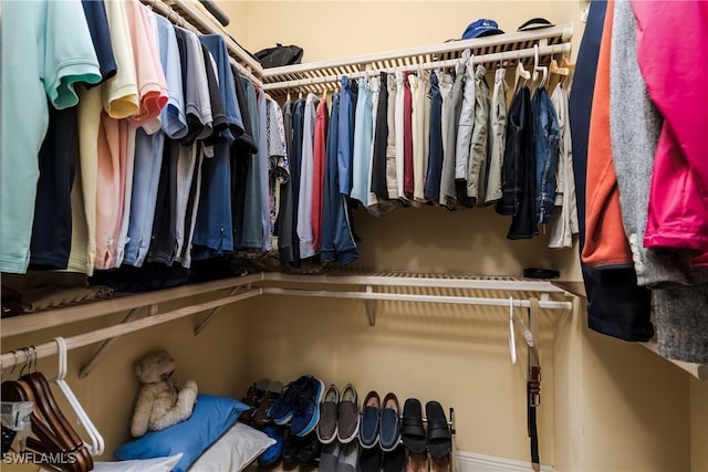 view of spacious closet