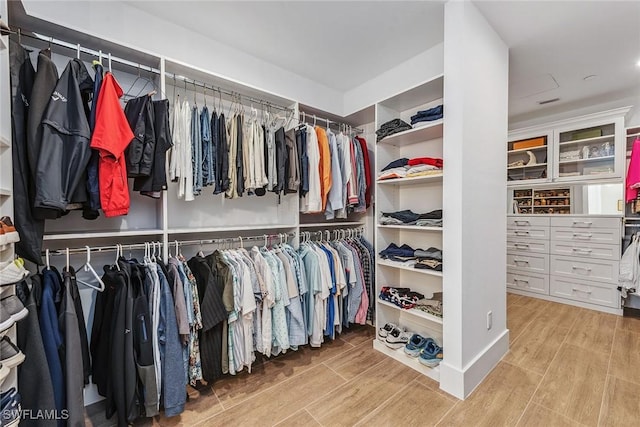 view of walk in closet