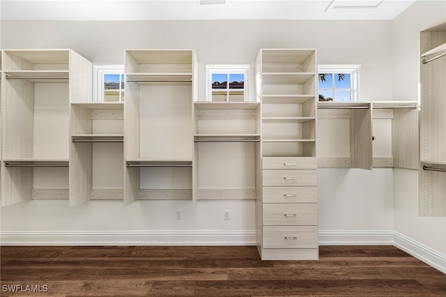 walk in closet featuring dark hardwood / wood-style flooring