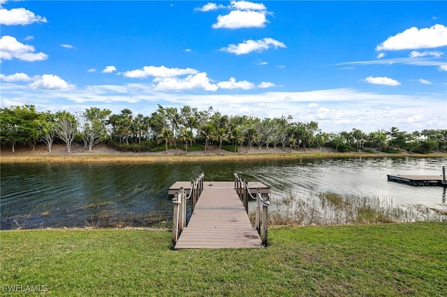 dock area with a water view and a lawn