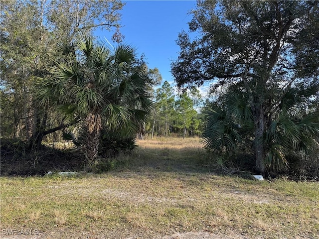 13182 Mandalay Dr, Punta Gorda FL, 33955 land for sale