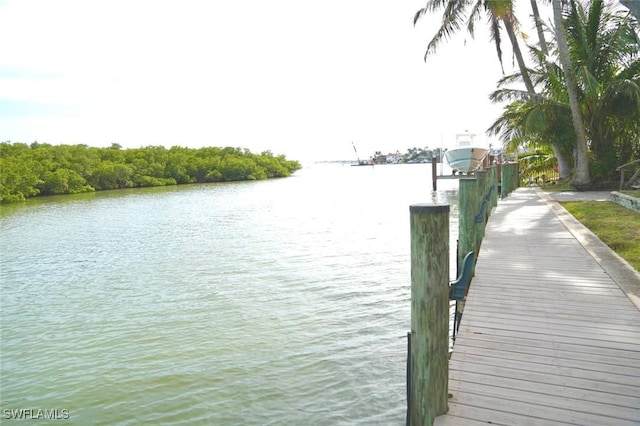 dock area with a water view