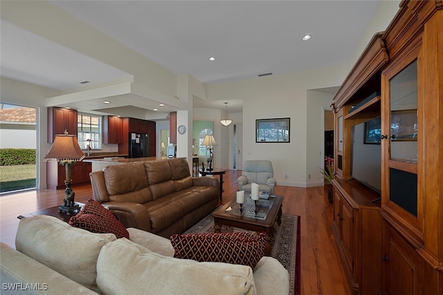 living room featuring wood-type flooring