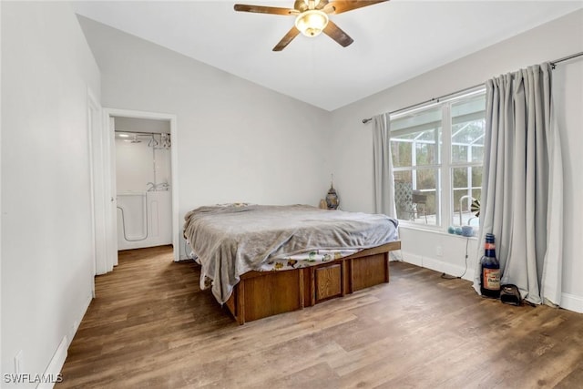 bedroom with hardwood / wood-style flooring, lofted ceiling, ceiling fan, and multiple windows